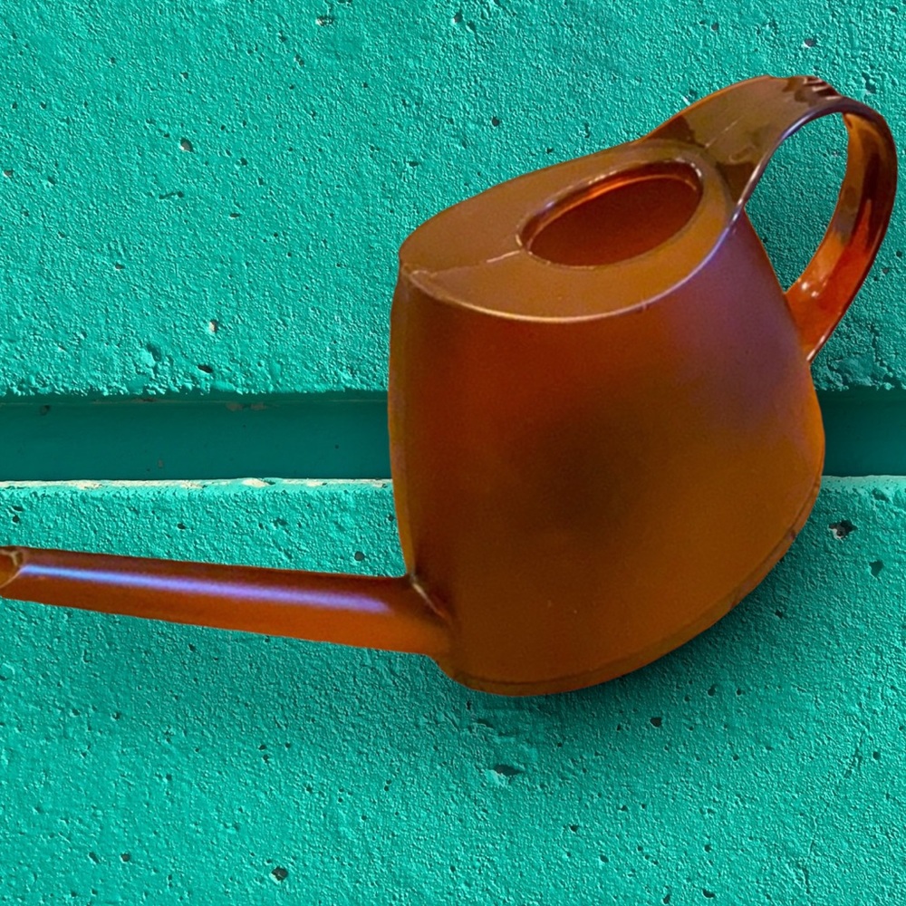 New Watering Can, flowers, cute
